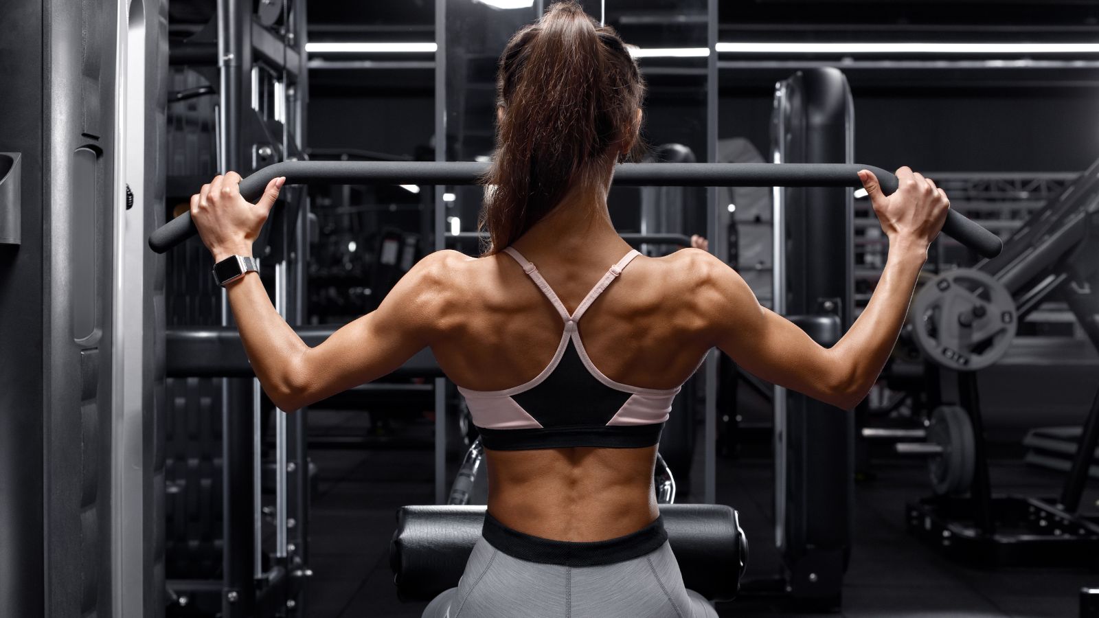 Kuntoilulaitteiden käyttöopas – Back Training Edition